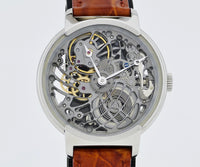 Special edition Skeleton Mechanical Men's watch Stainless steel case 45mm
